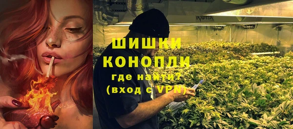 ECSTASY Богородск