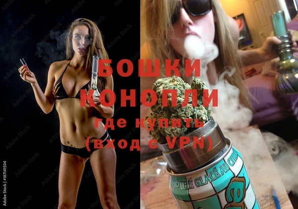 ECSTASY Богородск