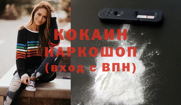 соль ск Богданович