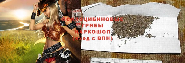 соль ск Богданович