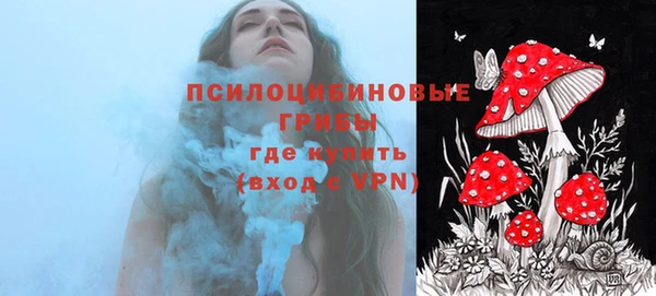 круглые Бородино