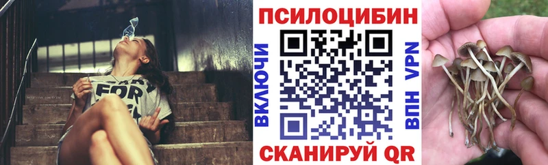 кракен маркетплейс  Балабаново  Псилоцибиновые грибы GOLDEN TEACHER 