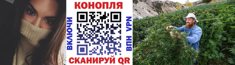купить наркоту Балабаново гидра Конопля MAZAR